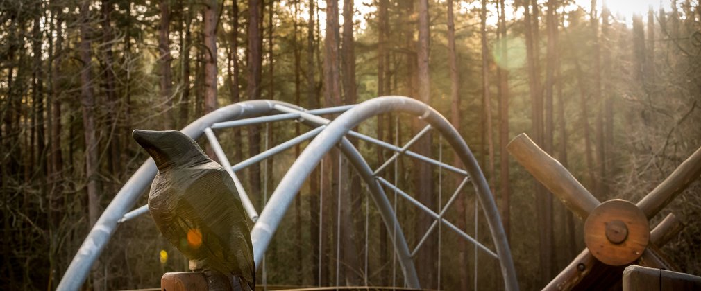 Grove trail bridge in Hamsterley Forest