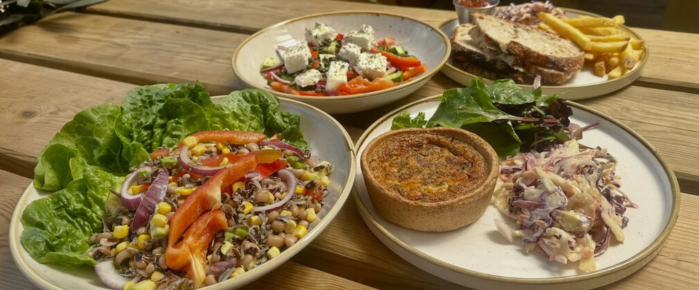 A selection of seasonal dishes at Haldon Forest Park cafe, including a quiche and toasted sandwich
