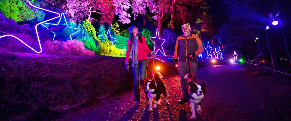 A couple walking their dog at an illuminated trail