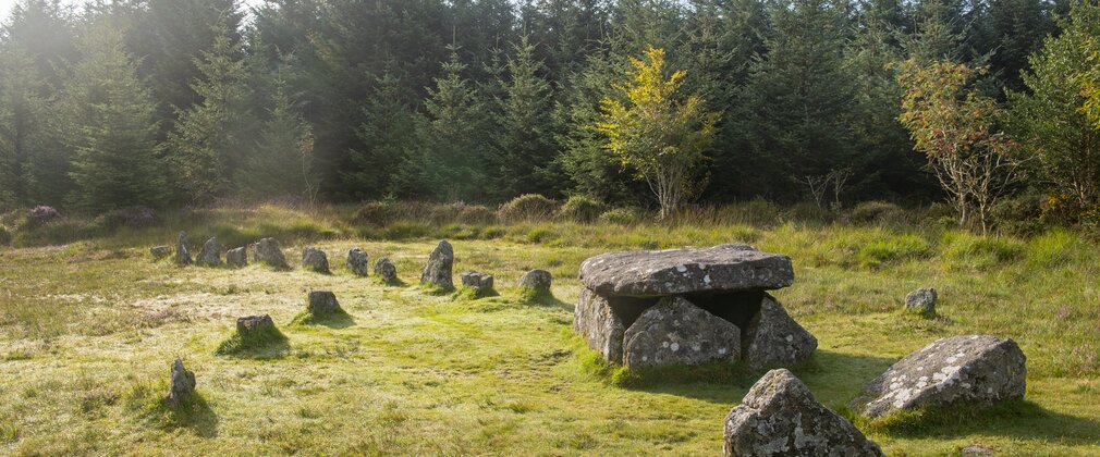 Bellever forest cist and standing stones