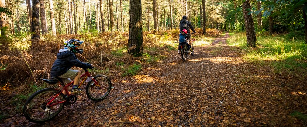 A family cycling through a leafy autumn forest