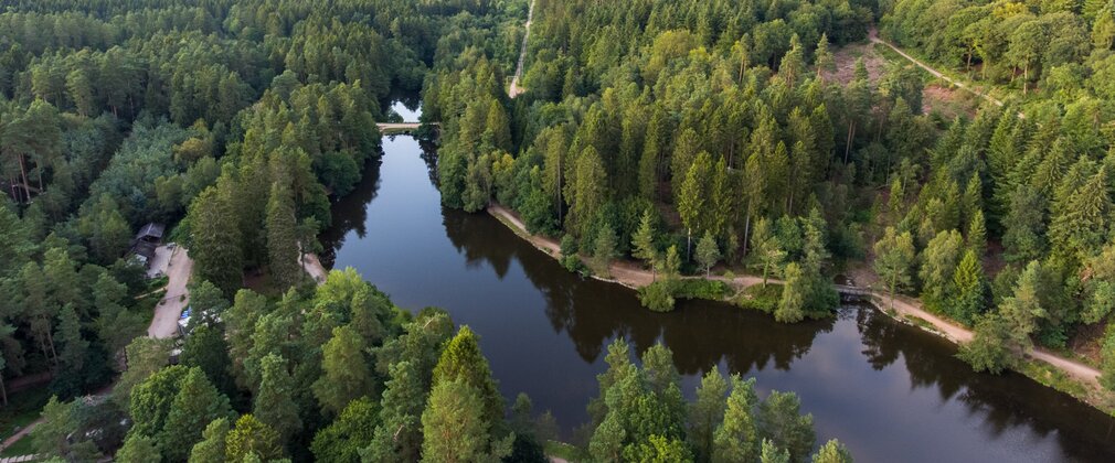 Mallards Pike, a lake within dense forest, as viewed from above