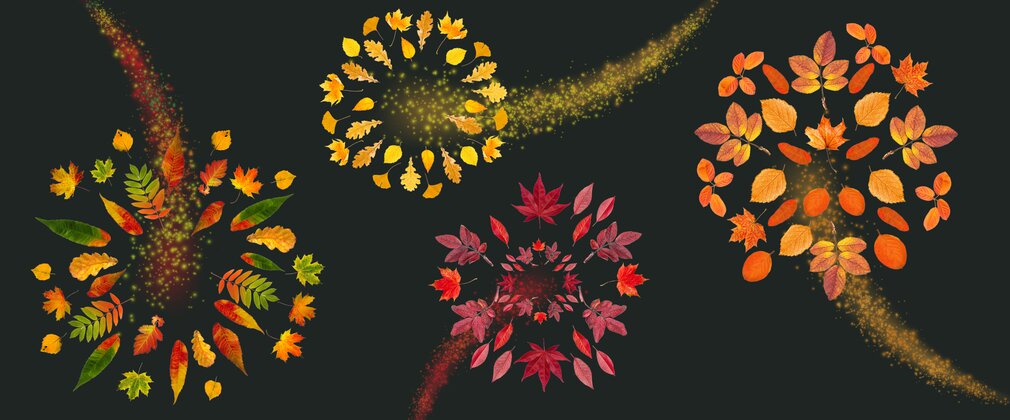 an illustration of autumn leaves behaving as fireworks.