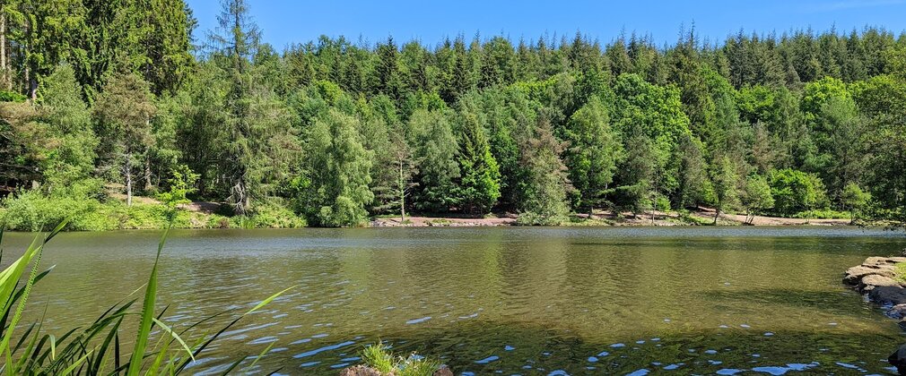 Lakeside view at Mallards Pike