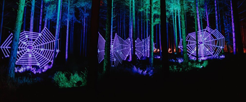 Large purple illuminated spiders webs among dark trees