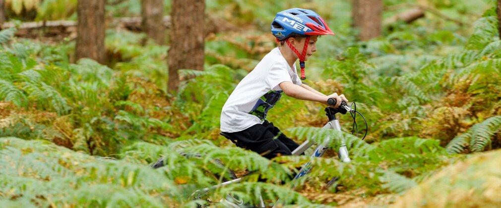A boy wearing a bike helmet, cycling amongst ferns in the forest.