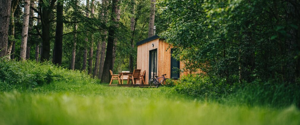 A wooden cabin with seats outside, nestled in green woodland.