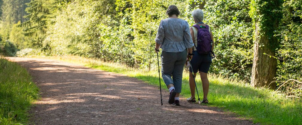 Seen from behind, two women walking on a forest path in summer.