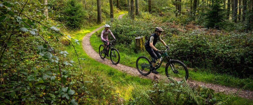 Two cyclists on a flat cycle trail in a conifer forest