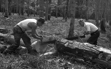 Two people using a saw to cut the ends of timber logs