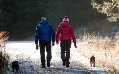 Seen from behind, two people and two dogs on leads, on a frosty forest path.
