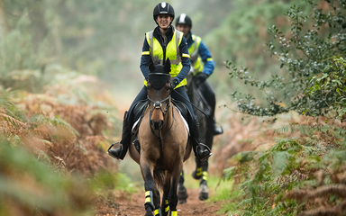 Two riders in high vis and helmets on horses on a forest path