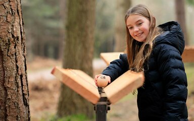 A child playing a wooden marble onto the marble run at Alice Holt Forest