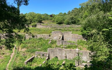The remains of brick buildings among trees and grass.