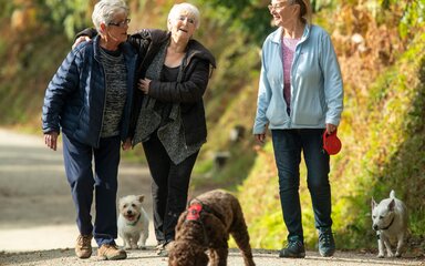 three older women dog walking in forest