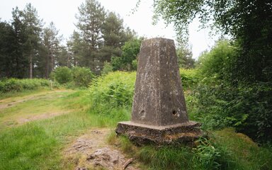 A stone monument style object is sat among greenery