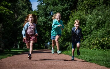 summer westonbirt