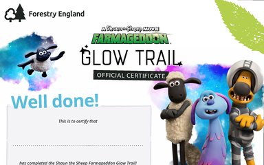Shaun the Sheep Glow Trail Certificate