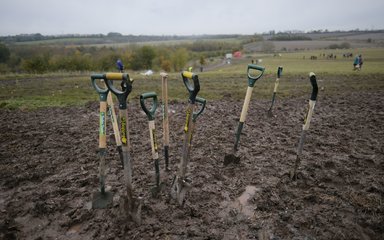 Group of large spades placed in mud at woodland creation project