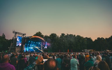 Sting playing on stage at Forest Live in Thetford Forest