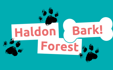 Event logo for Haldon Forest Bark