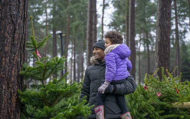 Christmas tree shopping in the forest 