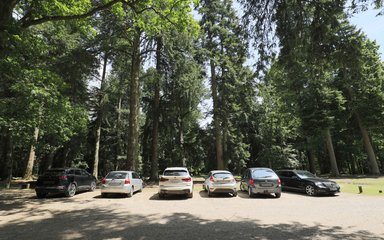 Cars parked under the trees in a forest car park