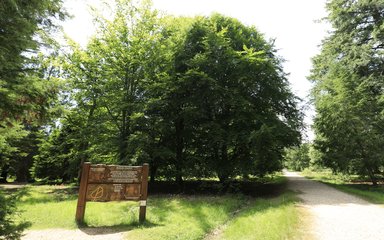 A view of the sign, path and trees at the entrance of Blackwater Arboretum