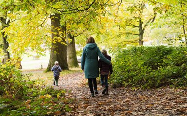 Seen from behind, a woman and two children walking along a leaf-covered forest path in autumn.