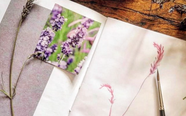 A water colour note book with a paint brush, photo and flower sample.