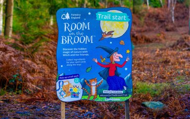 A large blue panel with text and illustrations, in a forest.