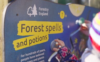 Close-up of an interactive board saying 'forest spells and potions'.