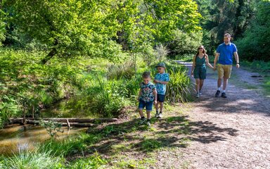 Two adults and two children walking along a forest path in the summer.