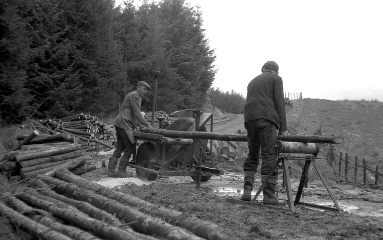 Black and white archive image from 1961 of two men cutting timber in the forest with an early powered saw.