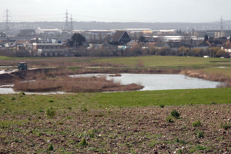 Grassland and small lake with sprawling urban area and pylons in the background.