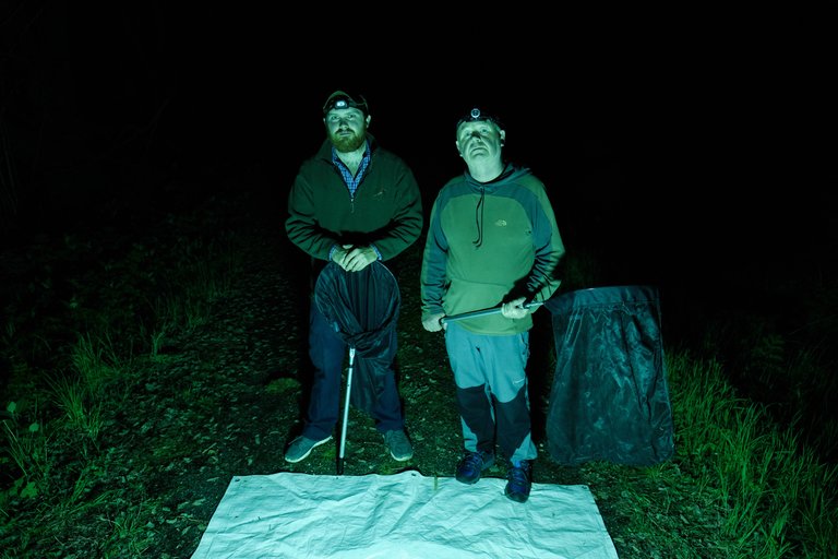 Two men at night moth trapping