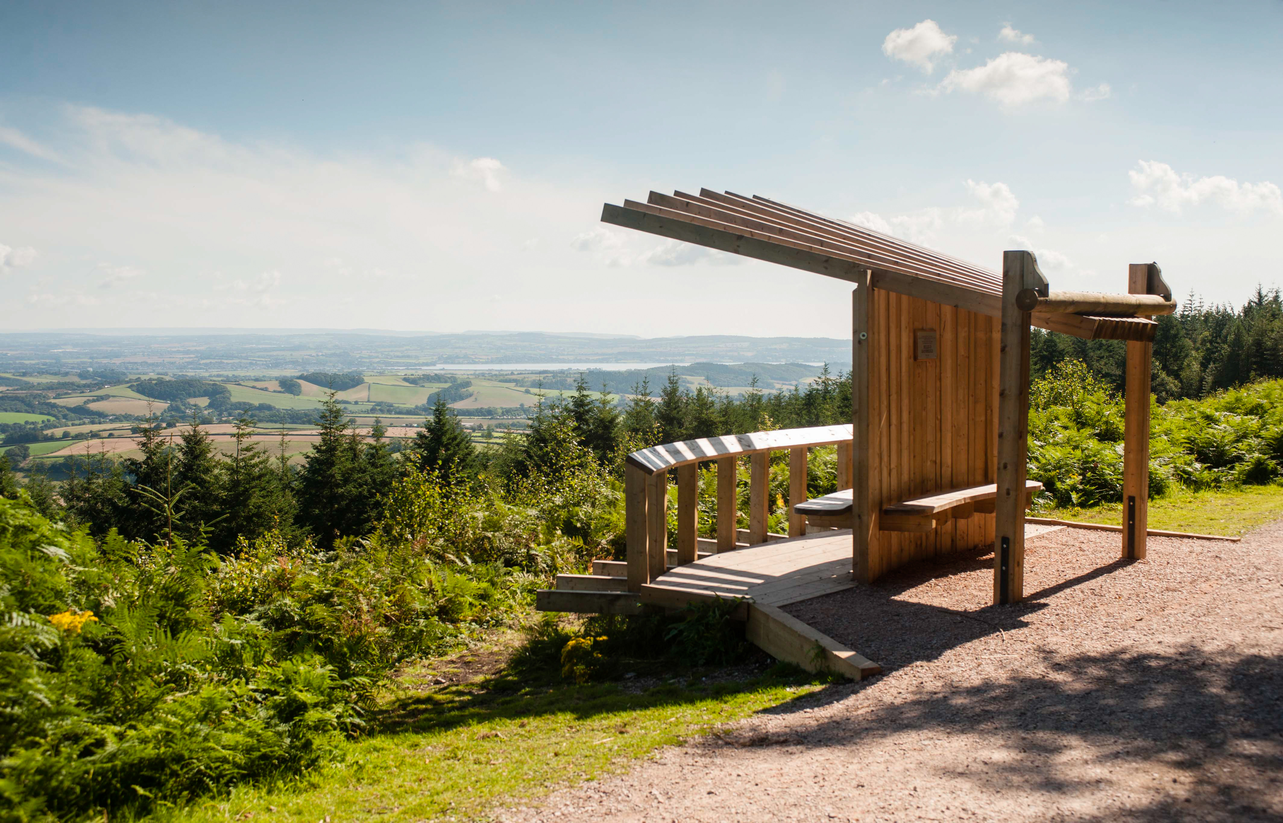 haldon forest trail map