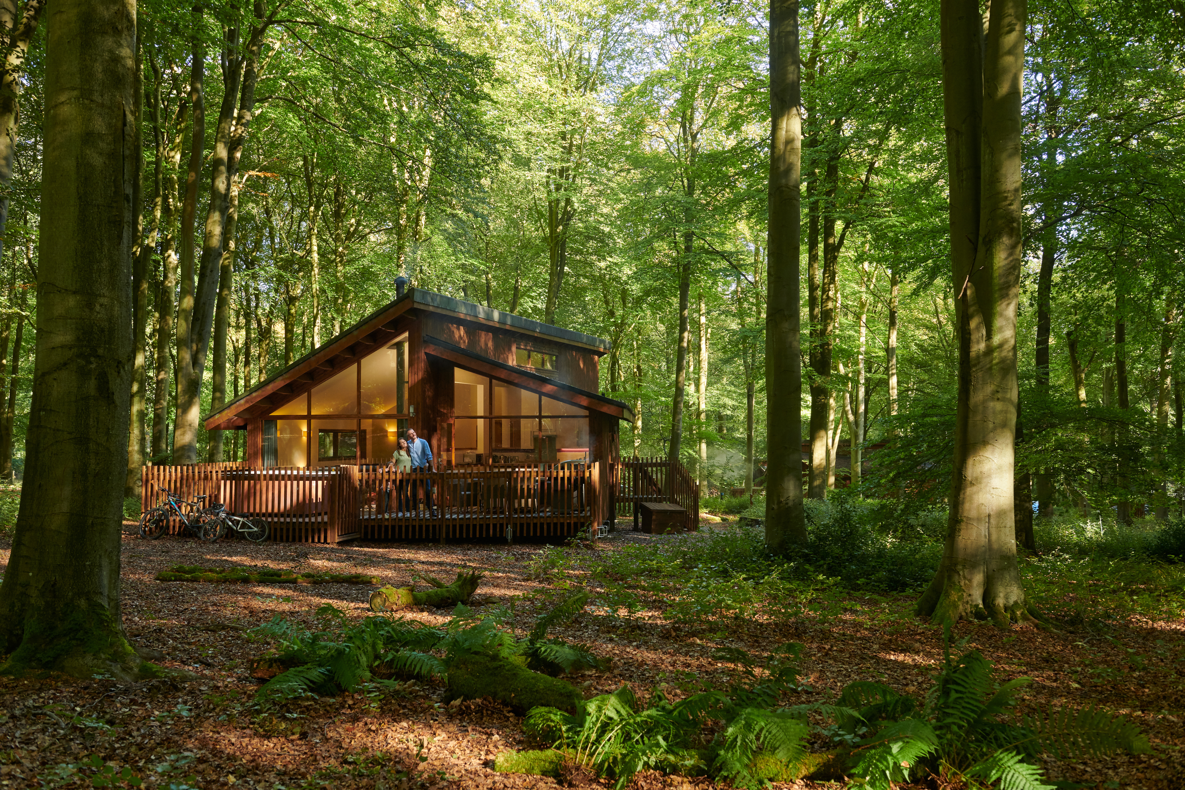 Forest Holidays Forestry England