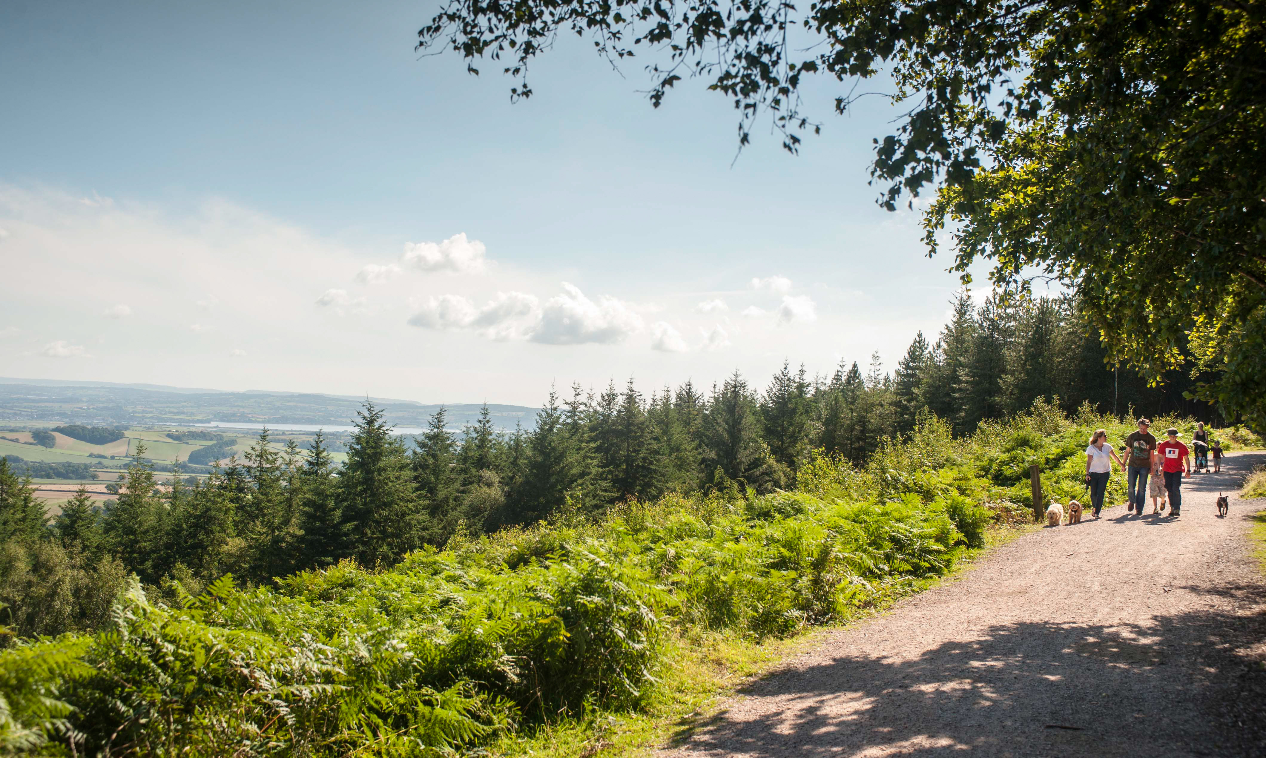 haldon hill mountain biking