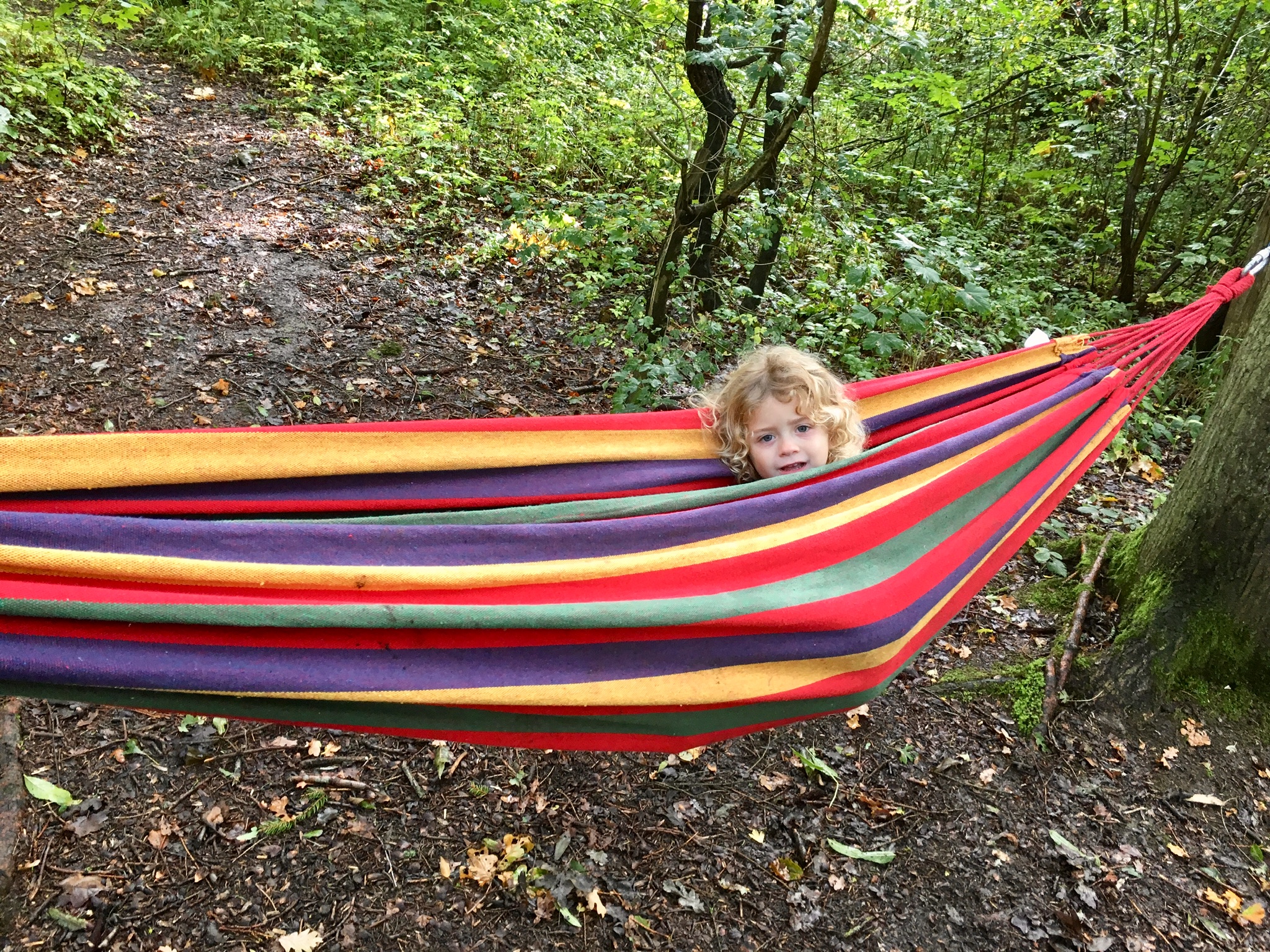 Preschool Forest School (weekly ticket) | Forestry England