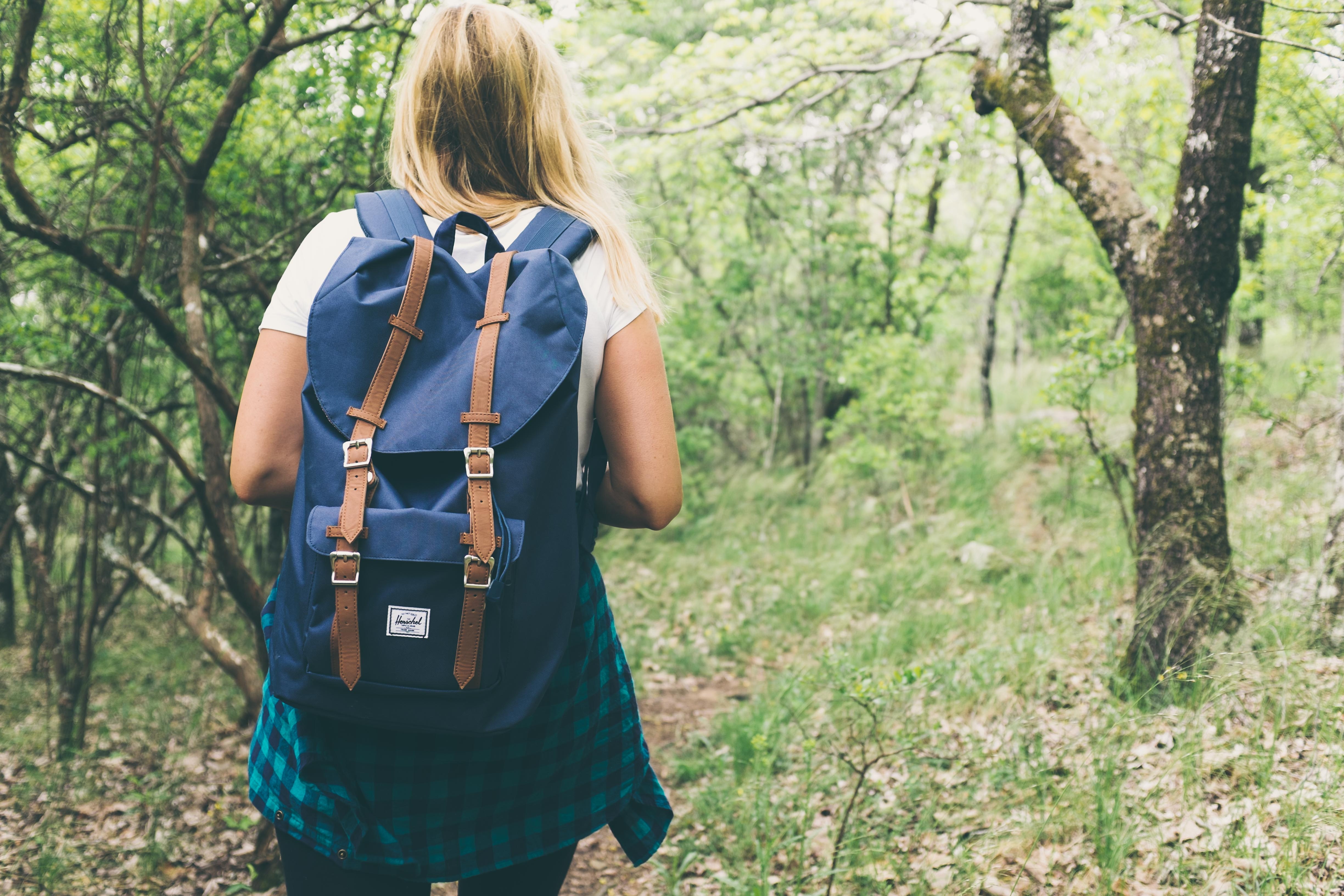 Forest Bathing In The Forest Of Dean Forestry England