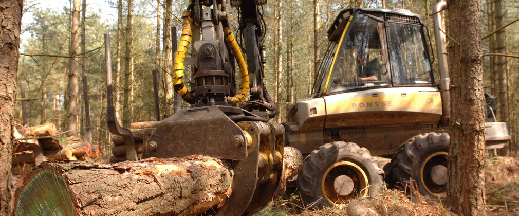A lager yellow harvester holds a felled log in a metal grip