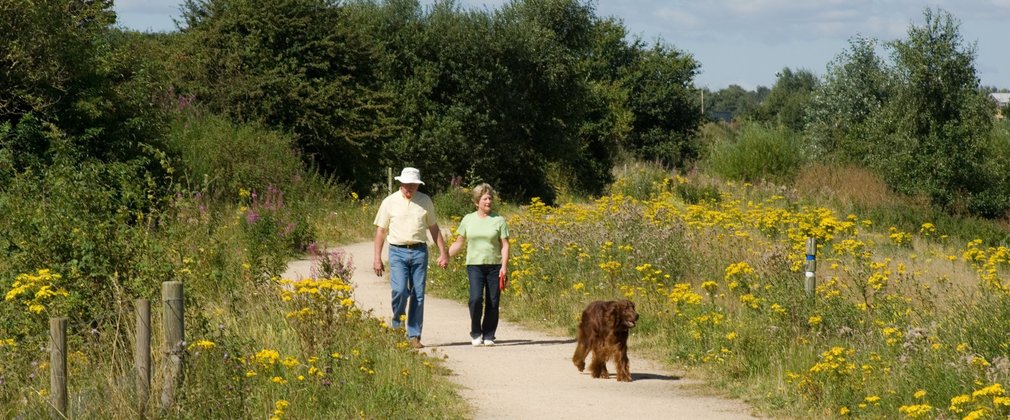 Couple on dog walk along easy access trail 