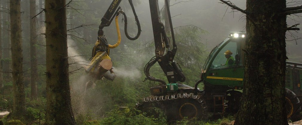 Harvester cutting down trees in the misty forest