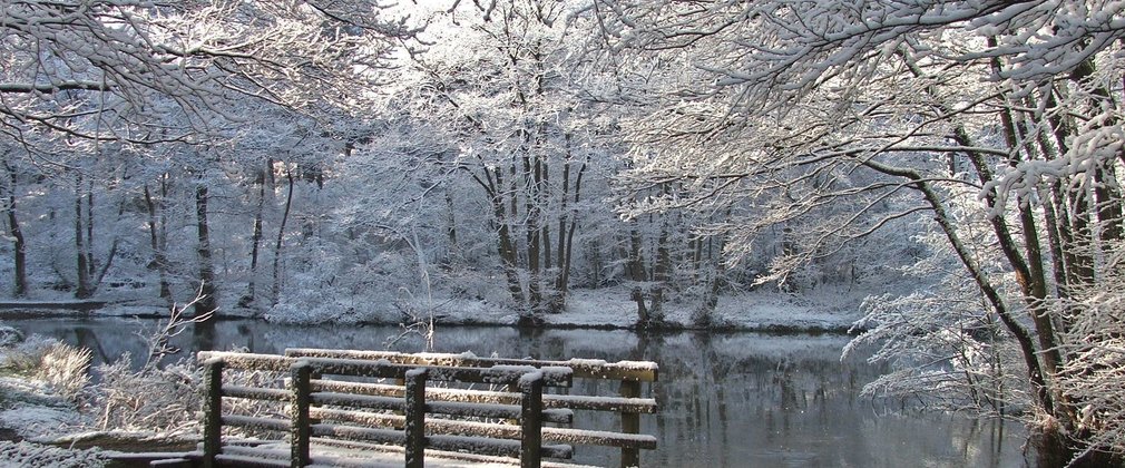 A bridge by a pond on a snowy day with lots of snow covered trees