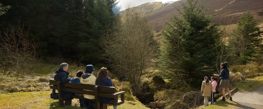 Whinlatter forest view from Revelin Moss