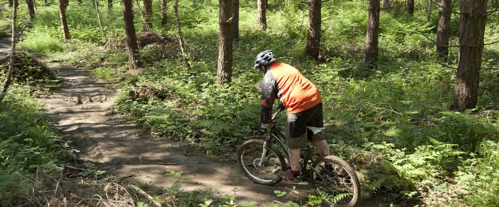 hopton woods mtb