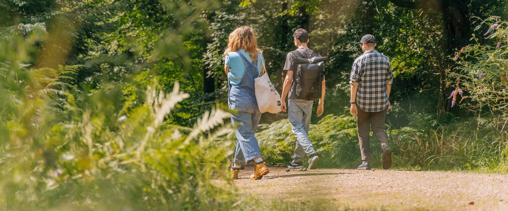 Three people walking away down a forest trail in the summer sunshine
