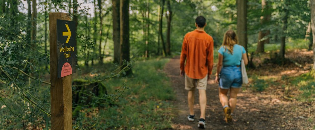 two people walking through the forest 