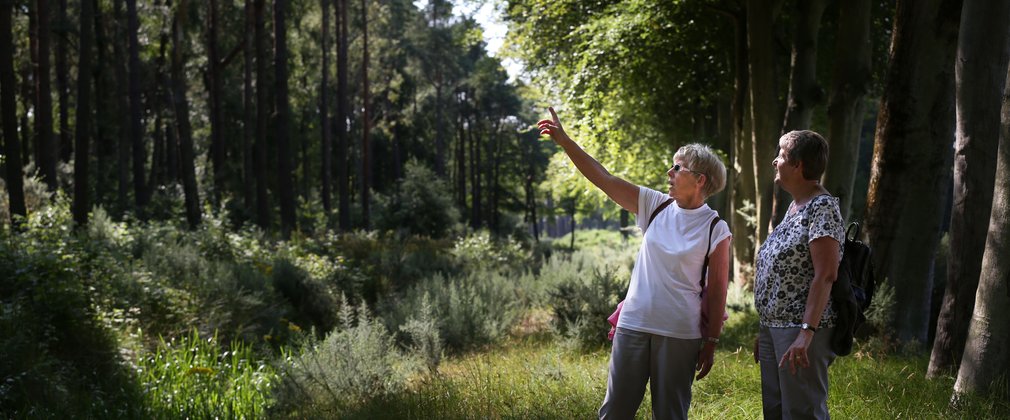 People in forest